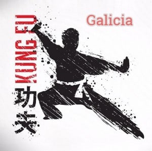 kung fu galicia