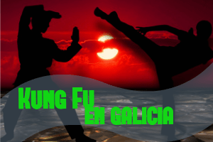 kungfu en galicia