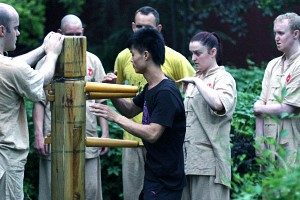 aprender wing chun